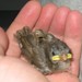 Larry Sparrow Photo 6
