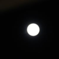 Dennis Arrington Photo 5