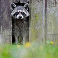 Cheryl Potter Photo 6 Cheryl Potter Photo 6