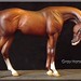 Kathleen Prosser Photo 20