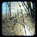 Sharon Mills Photo 6