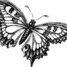 Judith Hernandez Photo 9