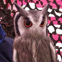 Eileen Macdonald Photo 8