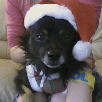 Nancy Hamby Photo 11