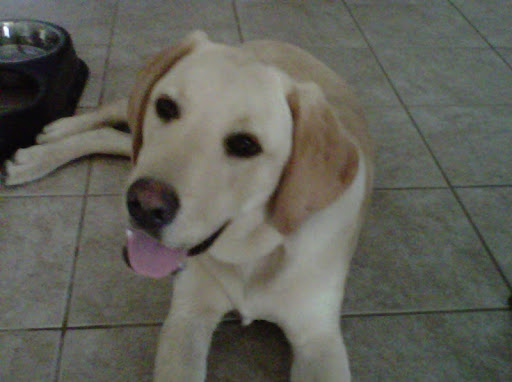 Cristy Clark Photo 22