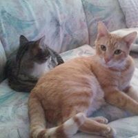 Larry Conroy Photo 12