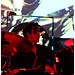 David Sargent Photo 39