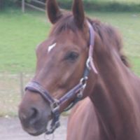 Mandy Lawrence Photo 39 Mandy Lawrence Photo 39