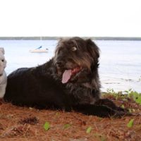 April Perkins Photo 11