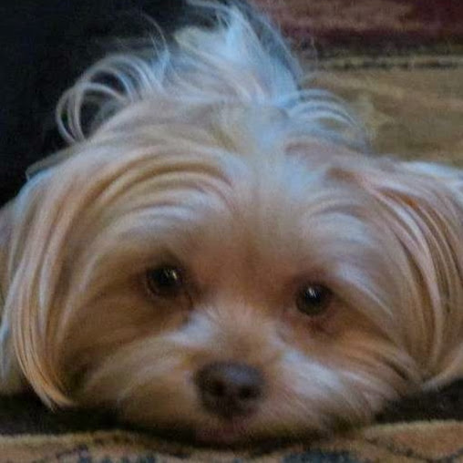 Cheryl O'Connell Photo 8