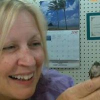 Sharon Sparks Photo 42