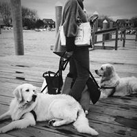 Janice Woodward Photo 14