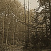 Berry Donaldson Photo 5