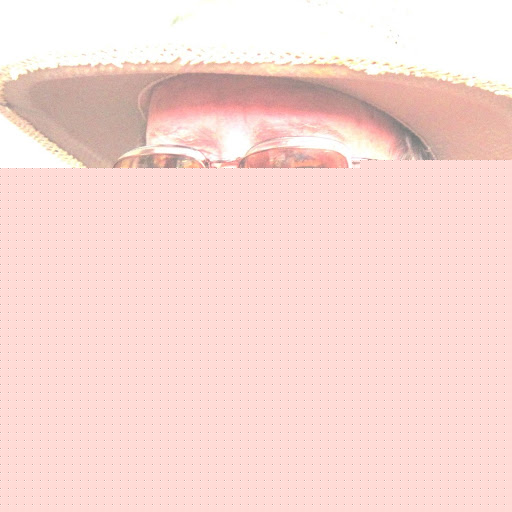 Steve Bullock Photo 10