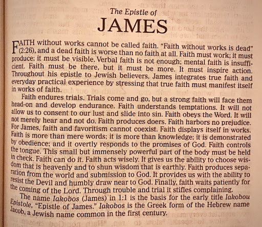 Debra Pratt Photo 21