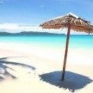 Elizabeth Cotter Photo 10