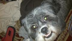 Sharon Clanton Photo 8