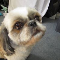 Christine Neville Photo 22