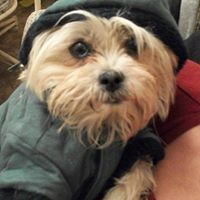 Jean Shrader Photo 3