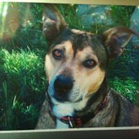 Wendy Shepherd Photo 18