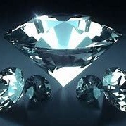 Susan Talley Photo 2