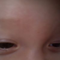 Sandra Linck Photo 6