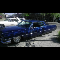 Richard Wirth Photo 24