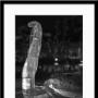Jason Walter Photo 26