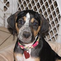 Tracy Decker Photo 31