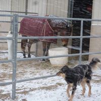 Darrell Long Photo 31