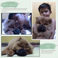 Neil Archer Photo 18