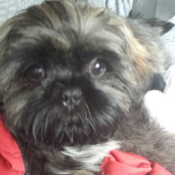 Scott Gilmour Photo 16