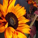 Art Dotson Photo 7