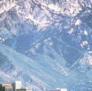 Michelle Markham Photo 30