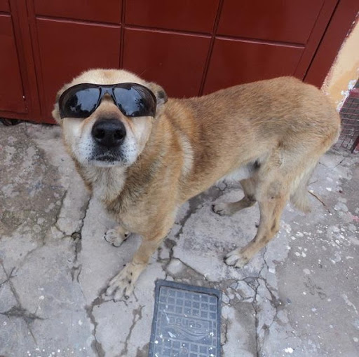 Pablo Villarreal Photo 34 Pablo Villarreal Photo 34