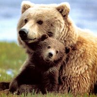 Nancy Mccollum Photo 8