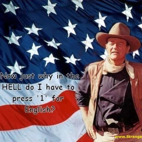 Steven Harp Photo 27