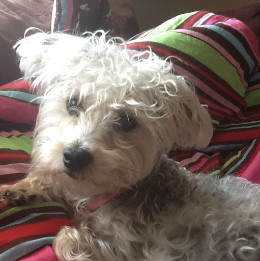 Penny Henry Photo 19