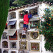 Amalia Ruiz Photo 27