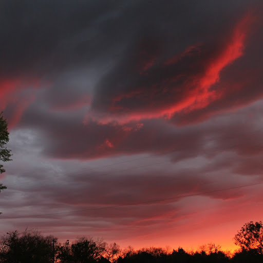 Julie Hendrix Photo 37