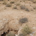 Rick Atkinson Photo 22