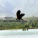 Abid Qureshi Photo 15