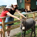 Beth Hawk Photo 12