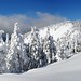 James Panos Photo 22