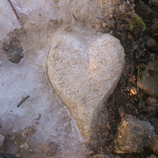 Vicky Miller Photo 14