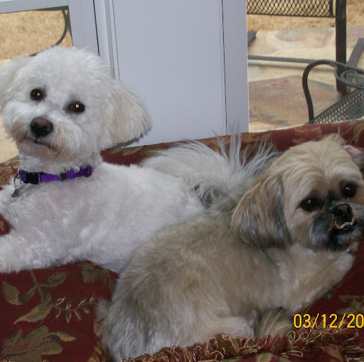 Lois Myers Photo 35