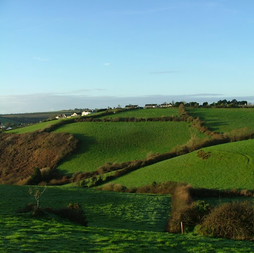 Francis Williams Photo 17