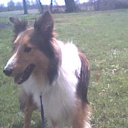 Frances Turner Photo 29