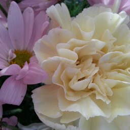 Martha Steele Photo 33