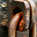 Linda Rust Photo 12